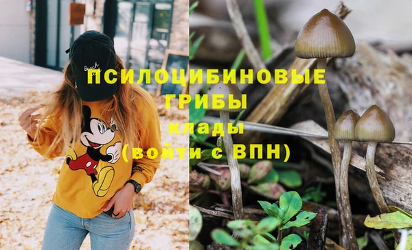 круглые Арсеньев